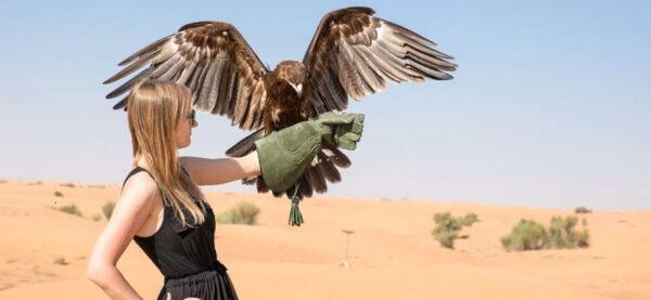 Royal Eagle Desert Safari