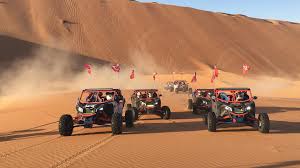 Desert Buggy Safari